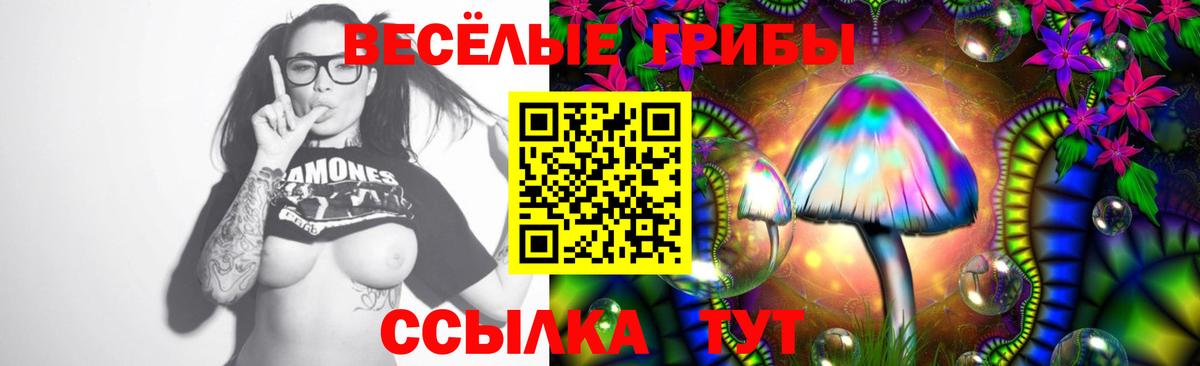 Галлюциногенные грибы Psilocybe  Вход с VPN  Обнинск 